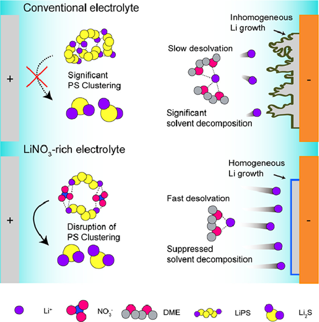 Tuning of electrolyte solvation structure for low-temperature operation of lithium–sulfur batteries [Energy Storage Materials, 59, 1027863 (2023)​]