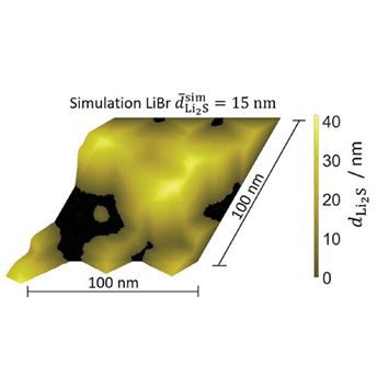 Insight into the impact of electrolyte on passivation of Lithium–Sulfur cathodes [Advanced Materials Interfaces, 12, 2400632 (2025)]