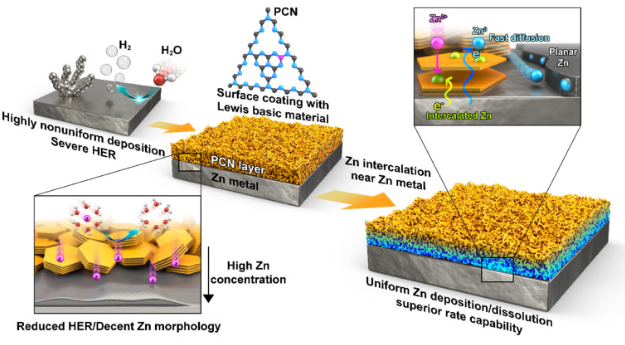 Versatile Zn hosting Lewis-basic interfacial layer for high-performant Zn reversibility in aqueous Zn ion battery [Energy Storage Materials (2024)]