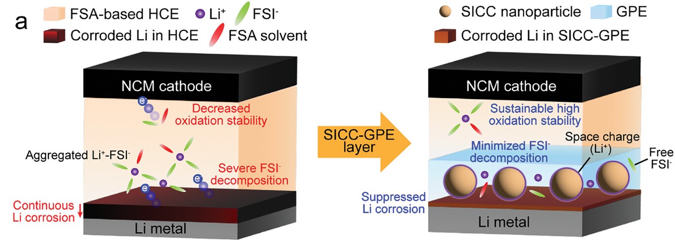 Solvation Structure Engineering via Inorganic–Organic Composite Layer for Corrosion-Resistant Lithium Metal Anodes in High-Concentration Electrolyte [Advanced Energy Materials, 2403944 (2024)]