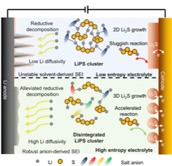 Unveiling the entropic effect of electrolytes on kinetics and cyclability for practical lithium–sulfur batteries [ACS Nano, 19, 17, 16611 (2025)]