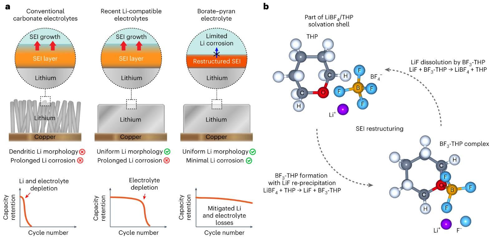 Borate–pyran lean electrolyte-based Li-metal batteries with minimal Li corrosion [Nature Energy, (2023)]