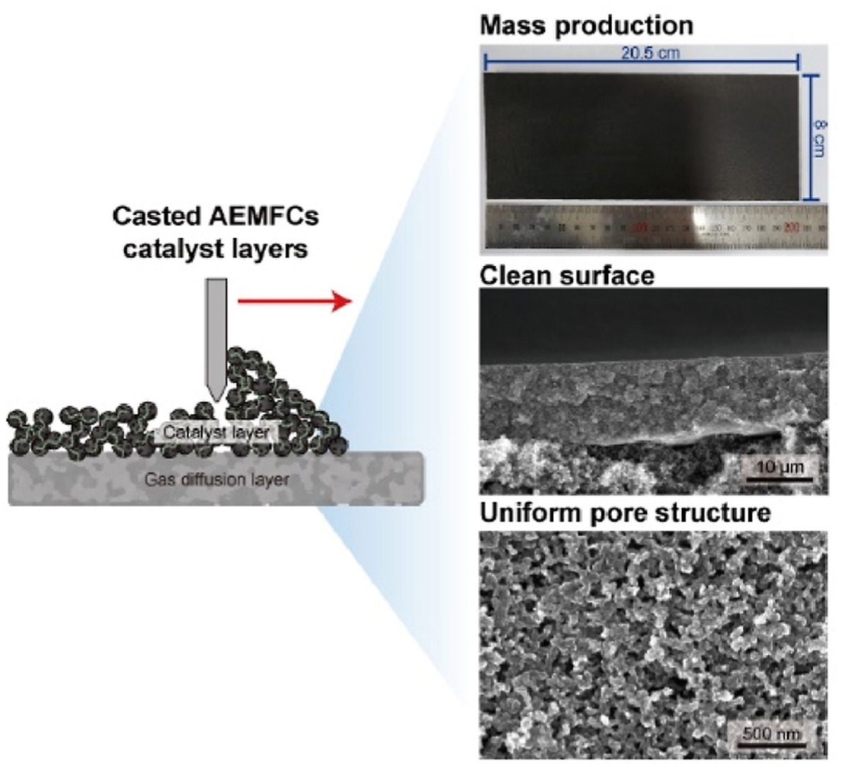 Manufacturing and structural control of slurry-cast catalyst layers for AEMFC [J. Power Sources, 573, 233161 (2023)​]