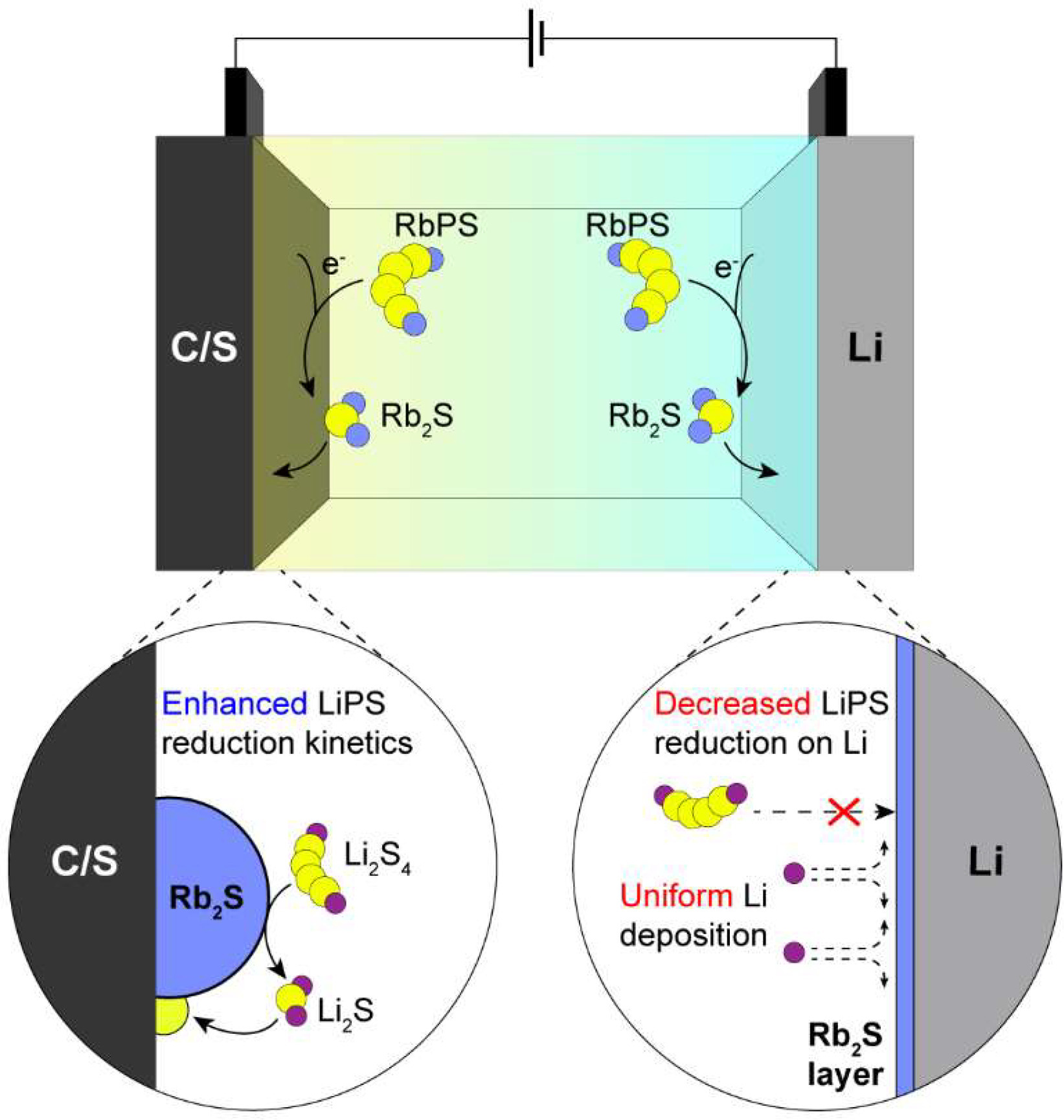 Dual functionalities of a Rb+ in lithium sulfur batteries: enhancing polysulfides-reduction-kinetics and Li metal stability [Energy Storage Materials, 63, 103040 (2023)​]