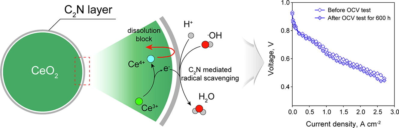 Addressing the detrimental effect of CeO2 radical scavenger on the durability of polymer electrolyte membrane fuel cells [Chem. Eng. J., 452, 139061 (2023)​]