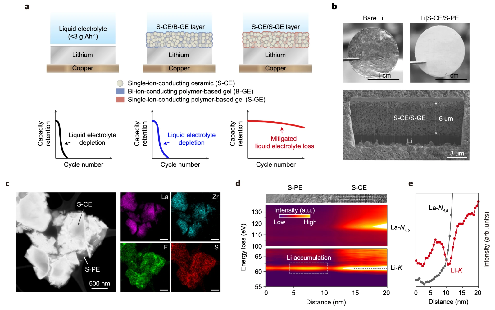 Weakly coordinated Li ion in single-ion-conductor-based composite enabling low electrolyte content Li metal batteries [Nature Communications, 14, 4047 (2023)​]