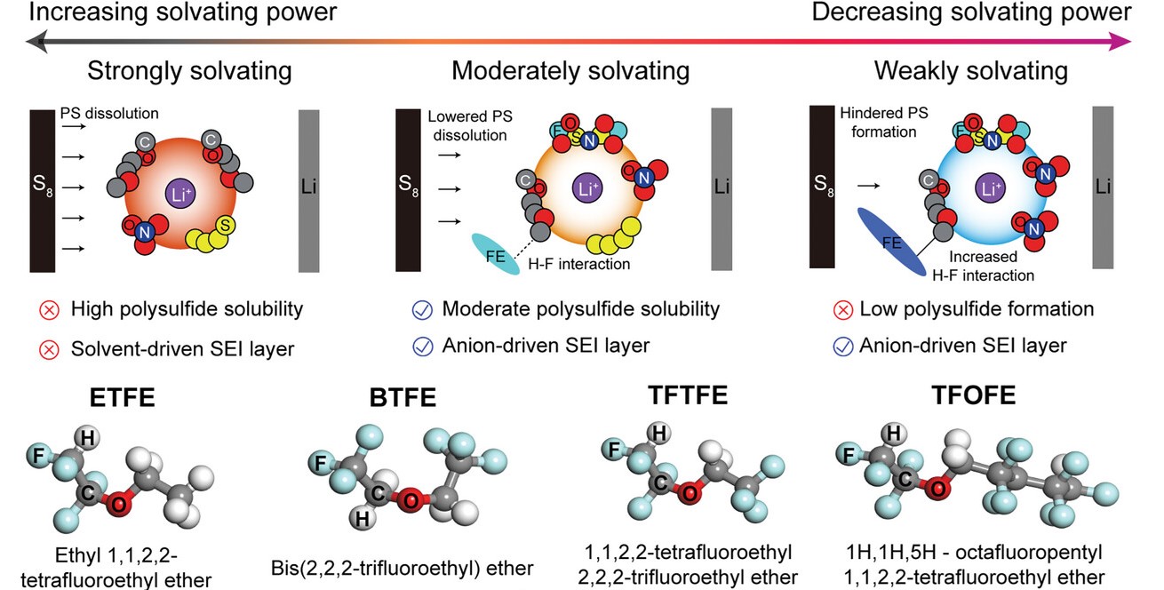 Moderately Solvating Electrolyte with Fluorinated Cosolvents for Lean-Electrolyte Li–S Batteries [Advanced Energy Materials, 2403828 (2024)]