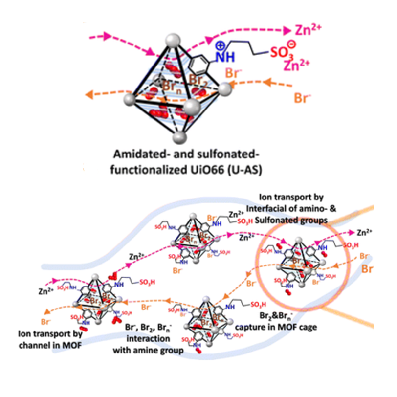 Functionalized metal–organic framework modified membranes with ultralong cyclability and superior capacity for zinc/bromine flowless batteries [Journal of Materials Chemistry A, 12, 13970 (2024)]