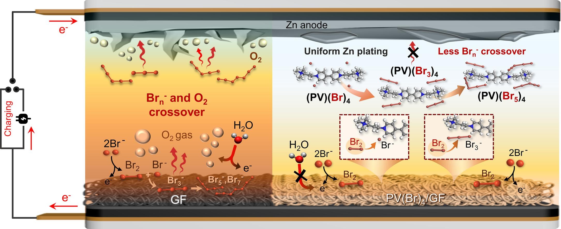 Modified viologen-assisted reversible bromine capture and release in flowless zinc–bromine batteries [Chem. Eng. J., 464, 142624 (2023)​]