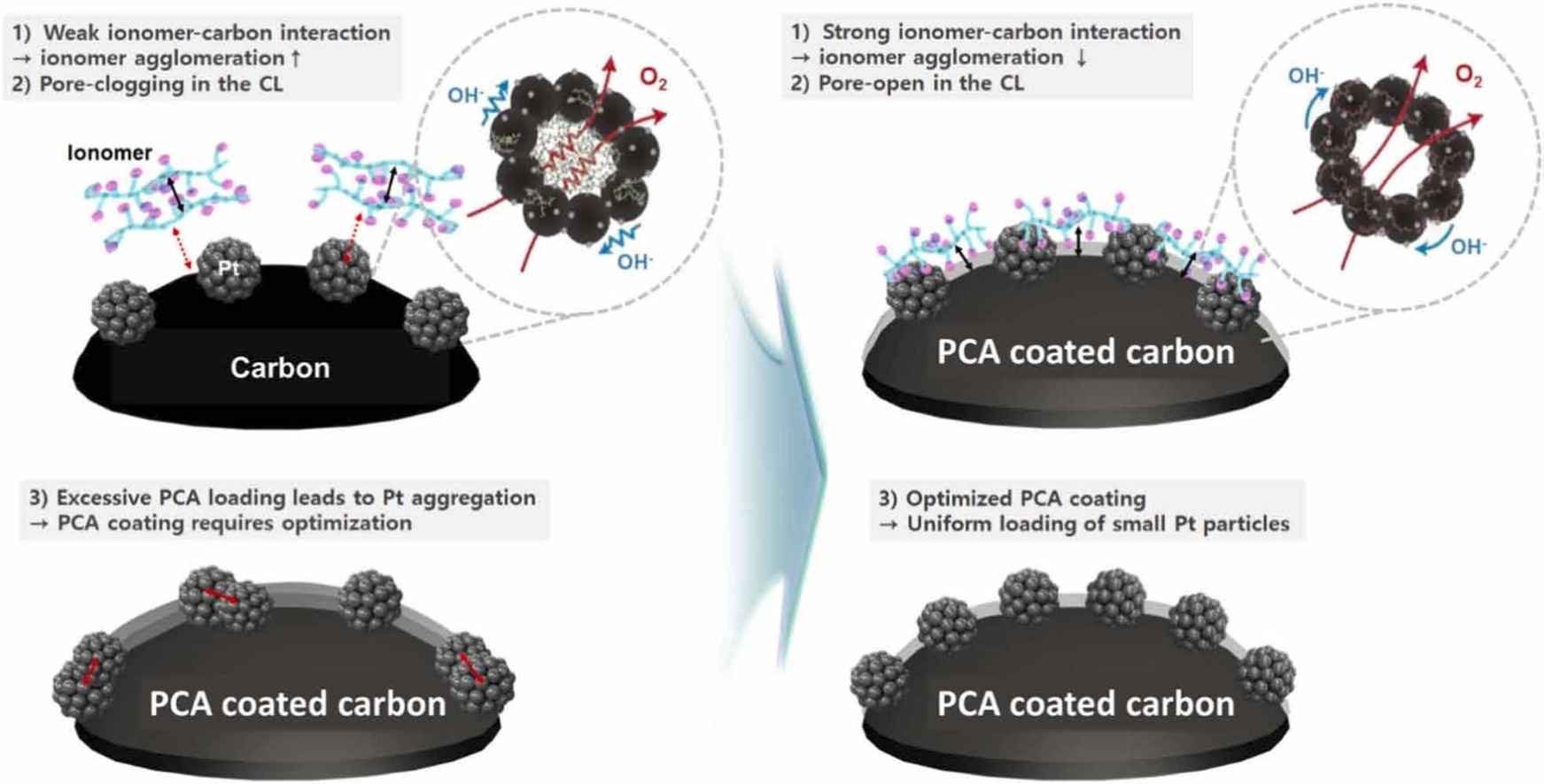 Improving anion exchange membrane fuel cell performance via enhanced ionomer–carbon interaction in cathode catalyst layers with carbon-supported Pt catalyst using a pyrene carboxyl acid coating [Applied Catalysis B: Environment and Energy (2024)]