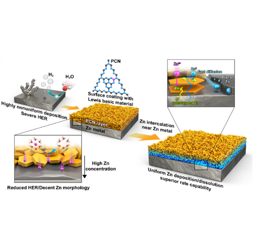 Versatile Zn hosting Lewis-basic interfacial layer for high-performant Zn reversibility in aqueous Zn ion battery [Energy Storage Materials, 71, 103580 (2024)]