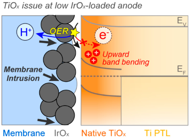 Contact Problems of IrOx Anodes in Polymer Electrolyte Membrane Water Electrolysis [ACS Energy Letters, 8, 2214-2220 (2023)]