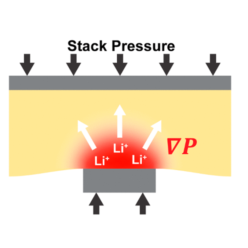 Preferential Lithium Plating in the Interfacial Void Region in All-Solid-State Batteries via Pressure Gradient-Driven Lithium-Ion Flux [ACS Energy Letters, 9, 1035 (2024)]