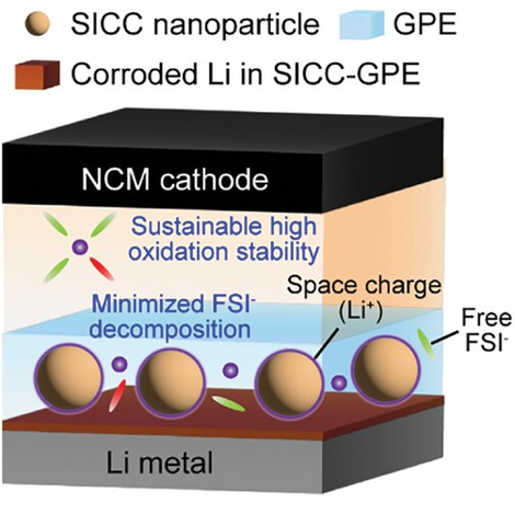 Solvation structure engineering via inorganic–organic composite layer for corrosion-resistant lithium metal anodes in high-concentration electrolyte [Advanced Energy Materials, 15, 2403944 (2025)]