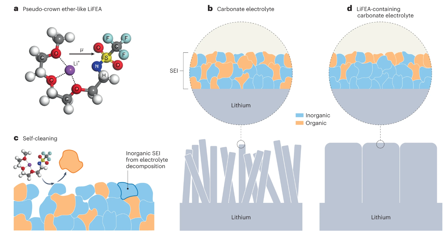 Leaching organics from the interphase [Nature Energy, 8, 911 (2023)​]