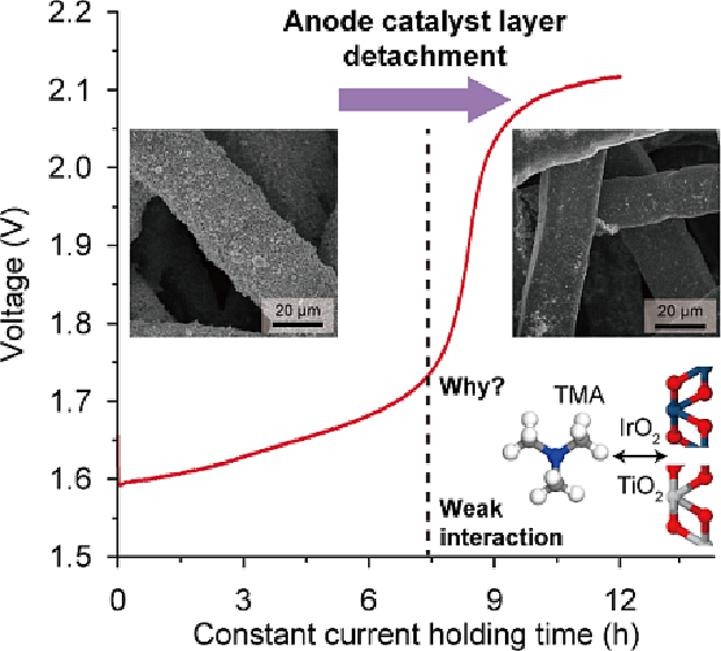 Impact of the binding ability of anion exchange ionomer on the initial performance degradation of anion exchange membrane water electrolyzers [Chemical Engineering J. 469, 143919 (2023)​]