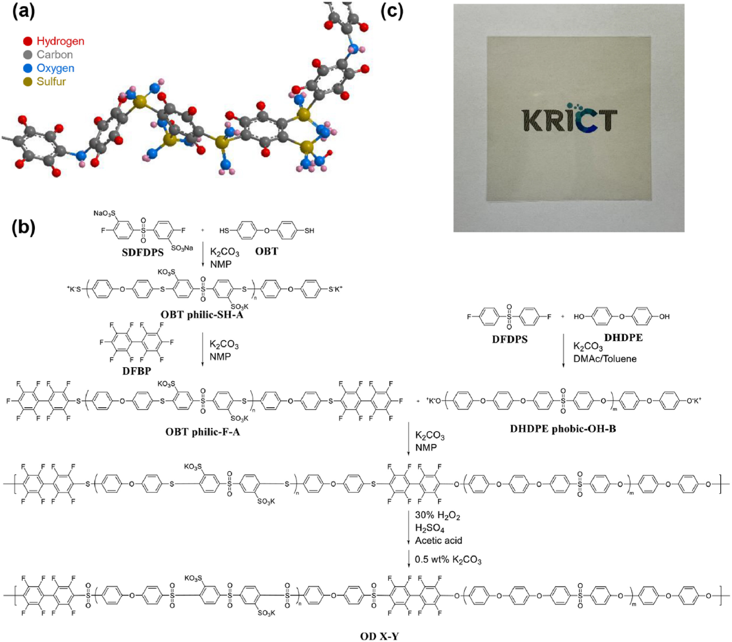 Multiblock copolymers with disulfonated bis(phenylsulfonylphenyl) sulfone group for polymer electrolyte membrane water electrolysis [J. Power Sources, 580, 233363 (2023)​]