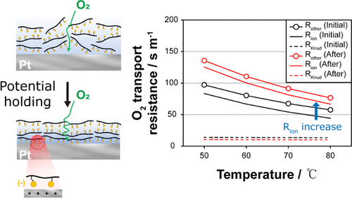 Potential-Dependent Ionomer Rearrangement on the Pt Surface in Polymer Electrolyte Membrane Fuel Cells [ACS Applied Materials & Interfaces (2024)]